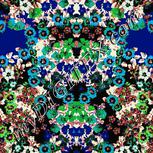 Colour:F