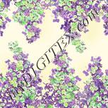 Colour:D