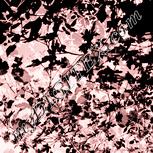 Colour:J