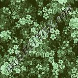 Colour:K