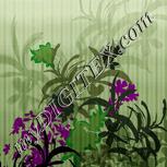Colour:D