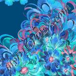 Colour:F