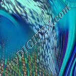 Colour:F