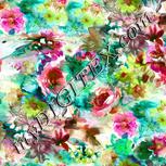 Colour:C