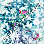 Colour:C