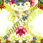 Colour:K