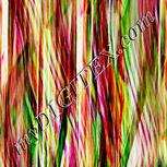 Colour:B
