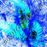 Colour:F