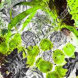 Colour:C