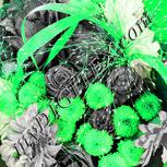 Colour:F