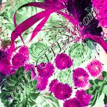 Colour:K