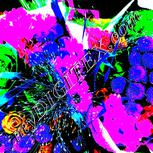 Colour:B