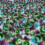 Colour:C