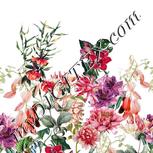 Colour:A
