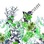 Colour:C