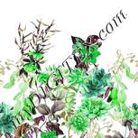Colour:D
