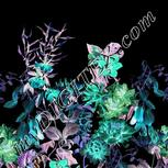 Colour:F