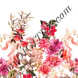 Colour:J