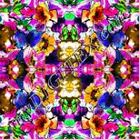 Colour:B