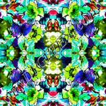Colour:C