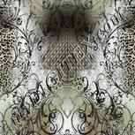 Colour:B