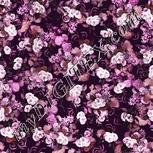 Colour:B