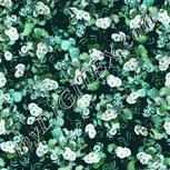 Colour:C