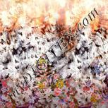 Colour:A