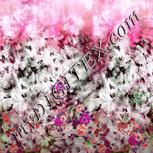 Colour:B