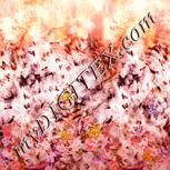 Colour:J