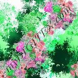 Colour:B
