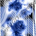 Colour:A