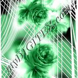 Colour:B