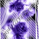 Colour:D