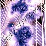 Colour:J