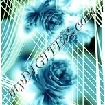 Colour:K