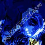 Colour:A