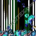 Colour:F