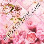 Colour:J