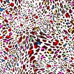 Colour:B