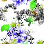 Colour:D