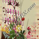 Colour:A