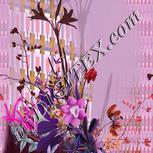 Colour:B