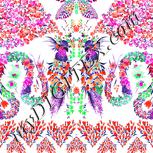 Colour:B