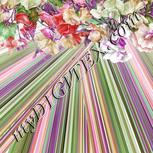 Colour:B