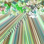 Colour:C