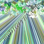 Colour:D