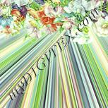 Colour:K