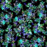 Colour:F