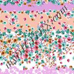Colour:B